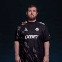 Chopper GIF by Team Spirit