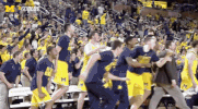 March Madness GIF by Michigan Athletics