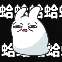 兔子 Wtf GIF by bunny_is_moving