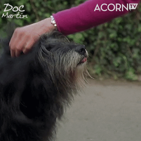 Oh No Reaction GIF by Acorn TV