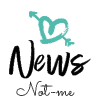 notmeshoes news woman shoes site Sticker