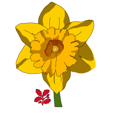 Flower Wales Sticker by National Trust Cymru