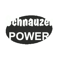 Schnauzer Workingdog Sticker by Hundesport Nubi