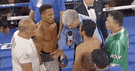 toprank fight sports sport boxing GIF