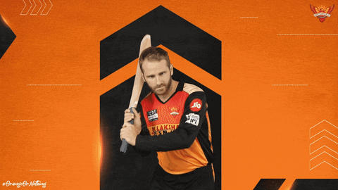 Kane Williamson Cricket GIF by SunRisers Hyderabad