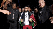 Mixed Martial Arts Sport GIF by UFC