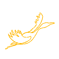 Bird Fly Sticker by NickiP