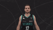 Basketball Britishbasketball GIF by Plymouthcitypatriots
