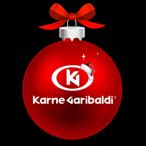 Christmas GIF by Karne Garibaldi