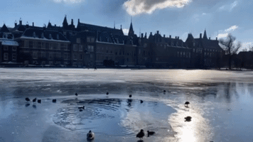 Skaters Rescued After Ice Breaks on Lake in The Hague