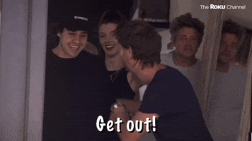 David Dobrik GIF by The Roku Channel