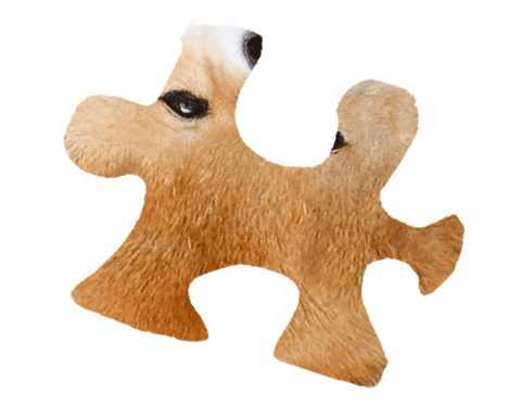 Puzzle Shiba Sticker