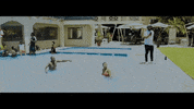 remote control dance GIF by Universal Music Africa