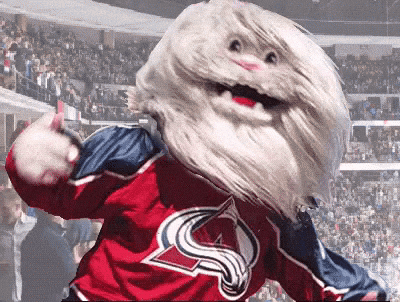 Colorado Avalanche Nhl GIF