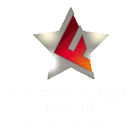 Go For Gold Sticker by Die Finals