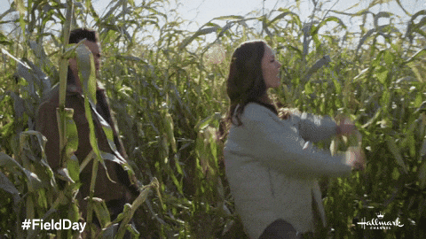 GIF by Hallmark Channel