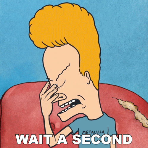 Wait A Second Hold On GIF by Paramount+