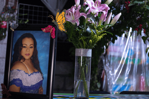 RosalesO giphyupload GIF