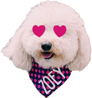 Happy In Love Sticker