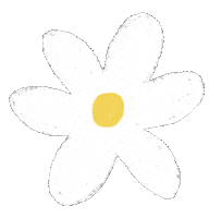 Flower Daisy Sticker