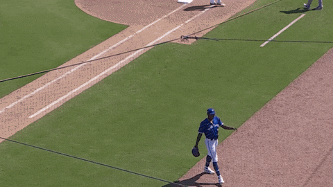 Blue Jays Oops GIF by Toronto Blue Jays