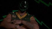 Bison Gonnella GIF by NDSU Athletics