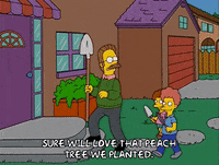 episode 16 todd flanders GIF