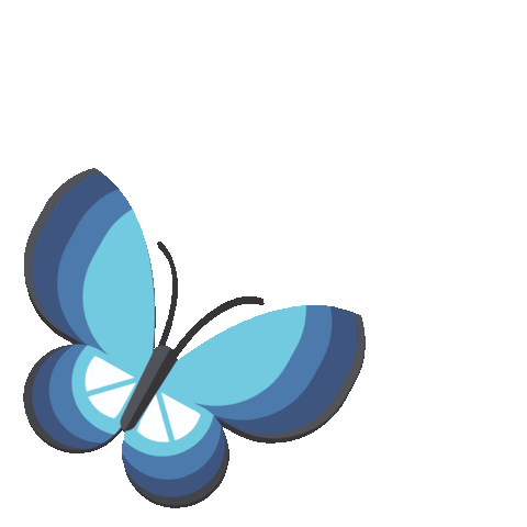 Butterfly Insect Sticker by entomologando