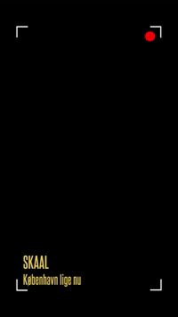 SKAAL_cph skaal GIF