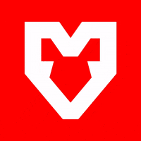 Ronaldo Siu GIF by mousesports