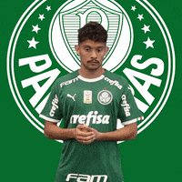 Palmeiras soccer watch futebol clock GIF
