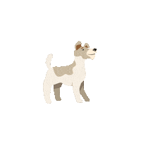 Illustration Loop Sticker by Dogman