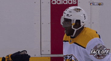 happy ice hockey GIF by NHL