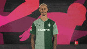 Werder Bremen Hello GIF by Bundesliga