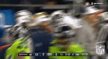 Seattle Seahawks Football GIF by NFL