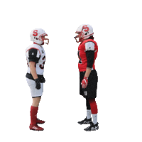 stuttgartscorpionssisters sisters stuttgart americanfootball scorpions Sticker