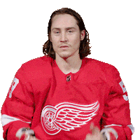 Ice Hockey Thumbs Up Sticker by Detroit Red Wings