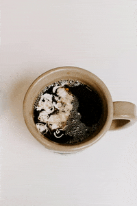 Coffee Time Morning GIF by mynaturalforce
