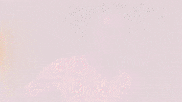 Football Sport GIF by FC Red Bull Salzburg