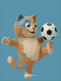 Soccer Futebol GIF