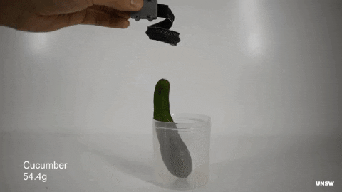 antoinebeau giphygifmaker GIF