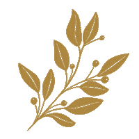 Christmas Holiday Sticker by The Daily Grace Co.