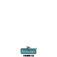 Green Tea Chai Sticker by Samaara Tea