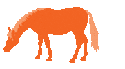 Horse Eating Sticker by ZoetisEquine
