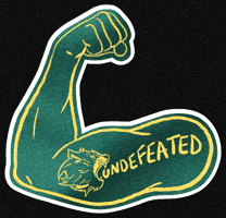 Undefeated GIF by tasmaniafc