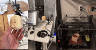 Animation Create GIF by Alex Boya