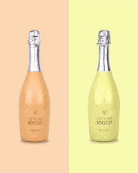 GIF by amoresecco