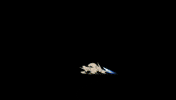 blog ver GIF