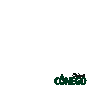 colegioconego messejana conego souconego alunonota10 Sticker