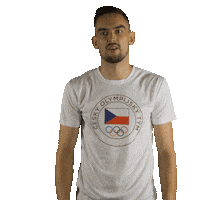 Czechteam Nahoru Sticker by Český olympijský tým